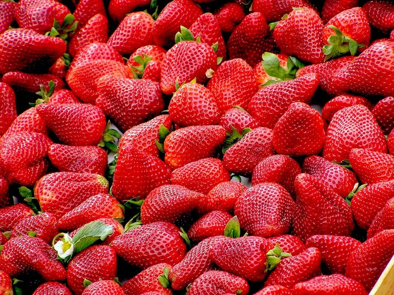 Sorcerer's Strawberry